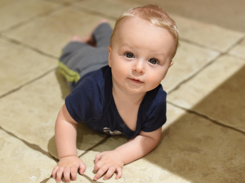 Remy crawling on the tile