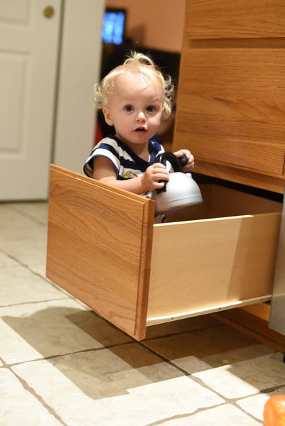 Remy in kitchen drawer
