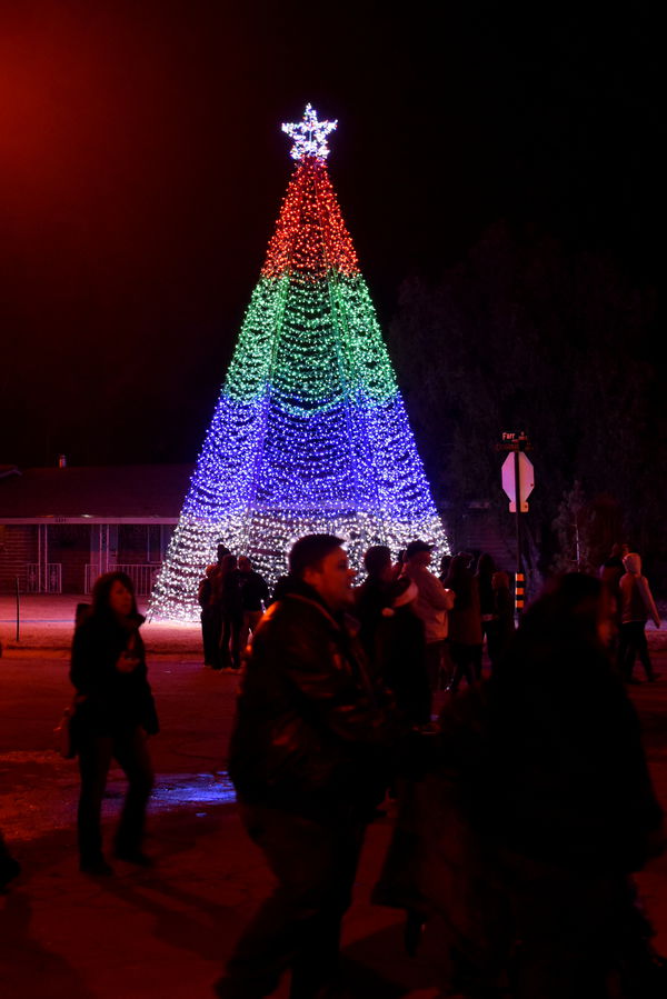 Winterhaven light Christmas tree