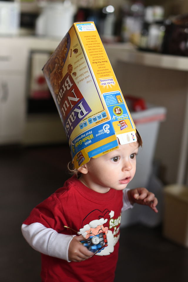 Remy wearing Nut Bran cereal box as a hat